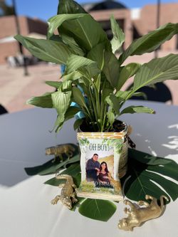 Custom Potato Chip Bag