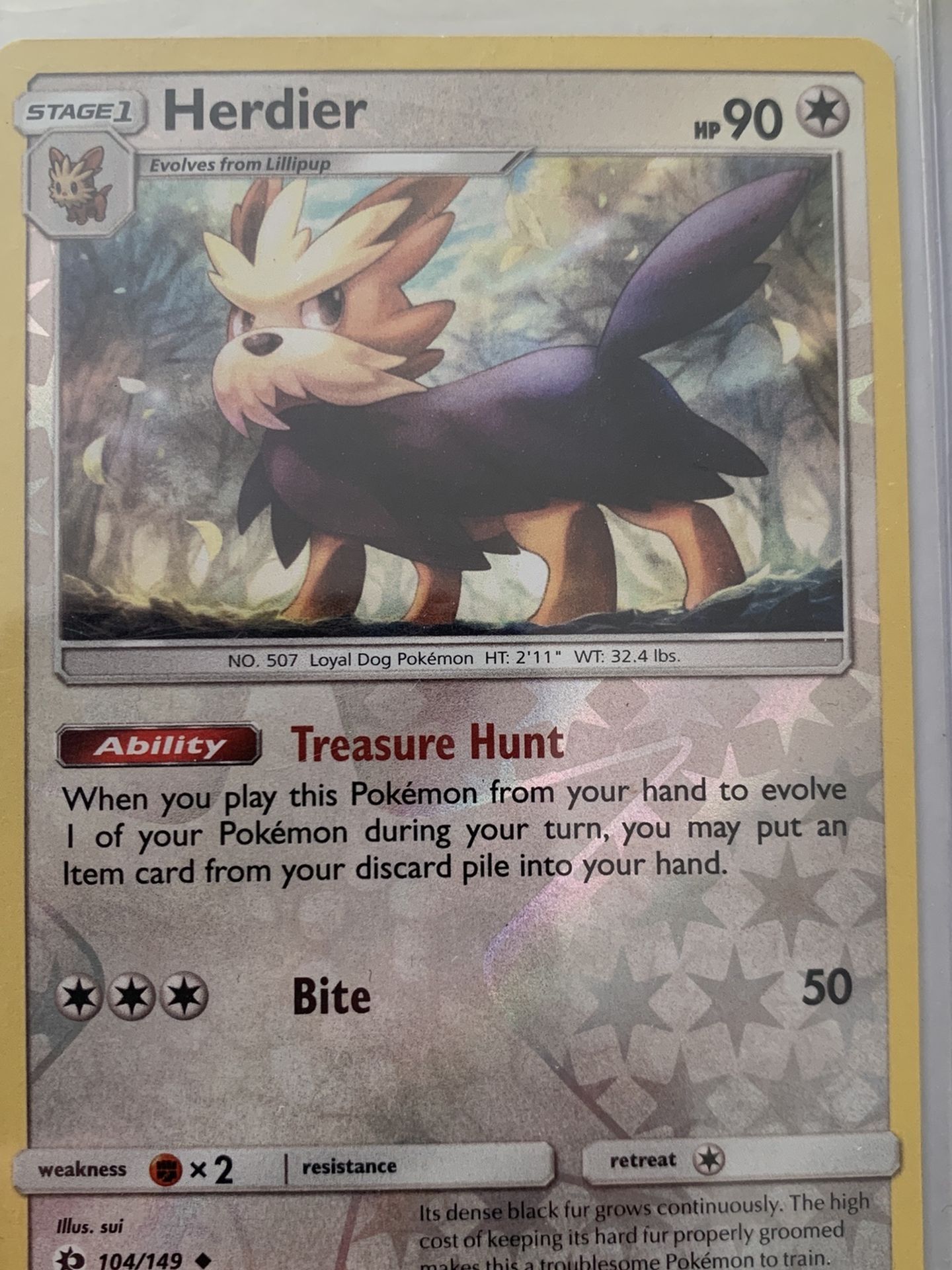 Pokémon Herdier Mint Holo Card! Mint!