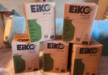 Eiko Led9wbr30