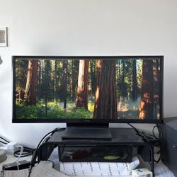 AOC 1080P Monitor
