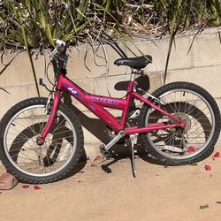 Trek Kids Mountain Bike 