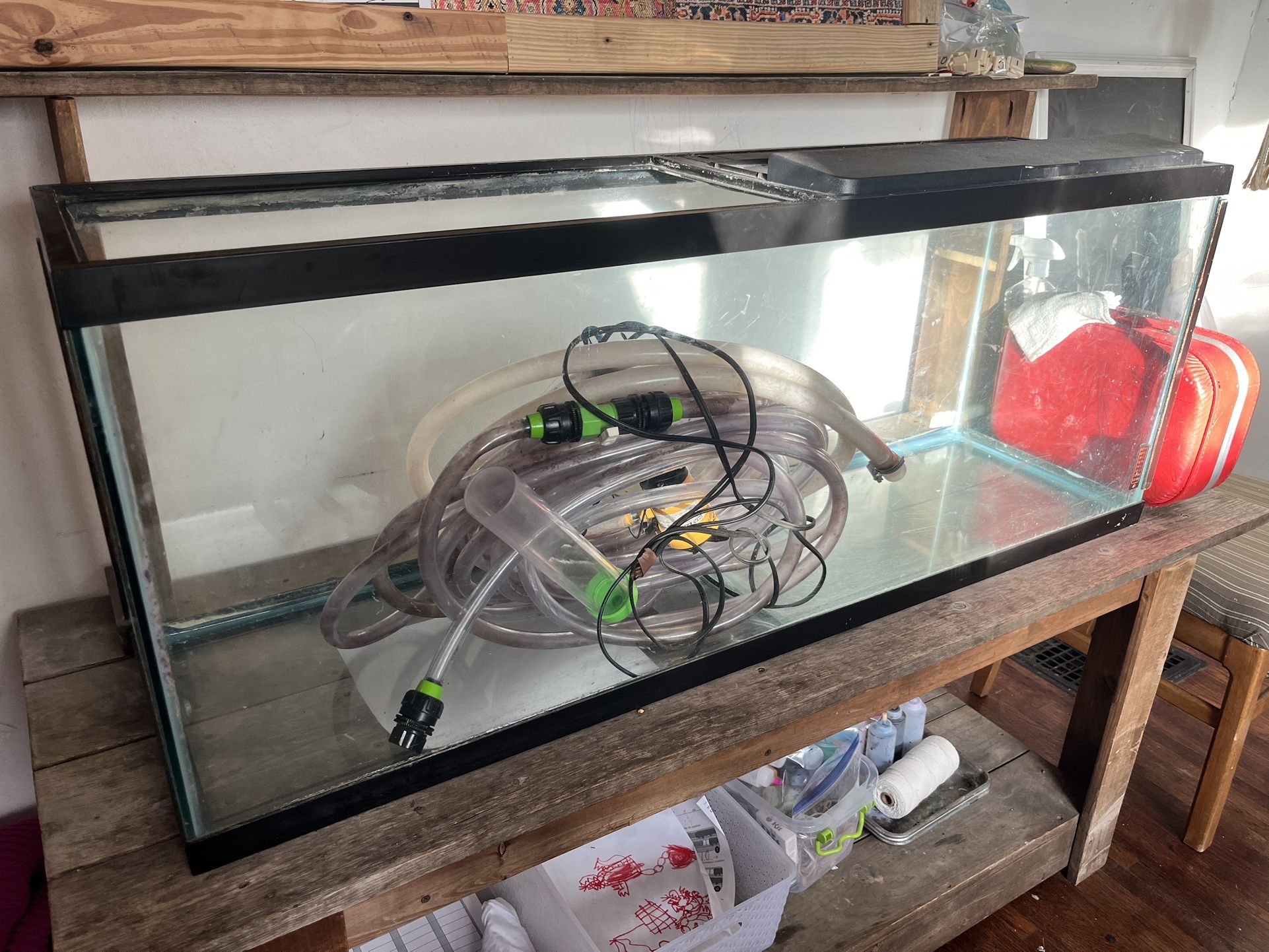 48 Gallon Fish Tank