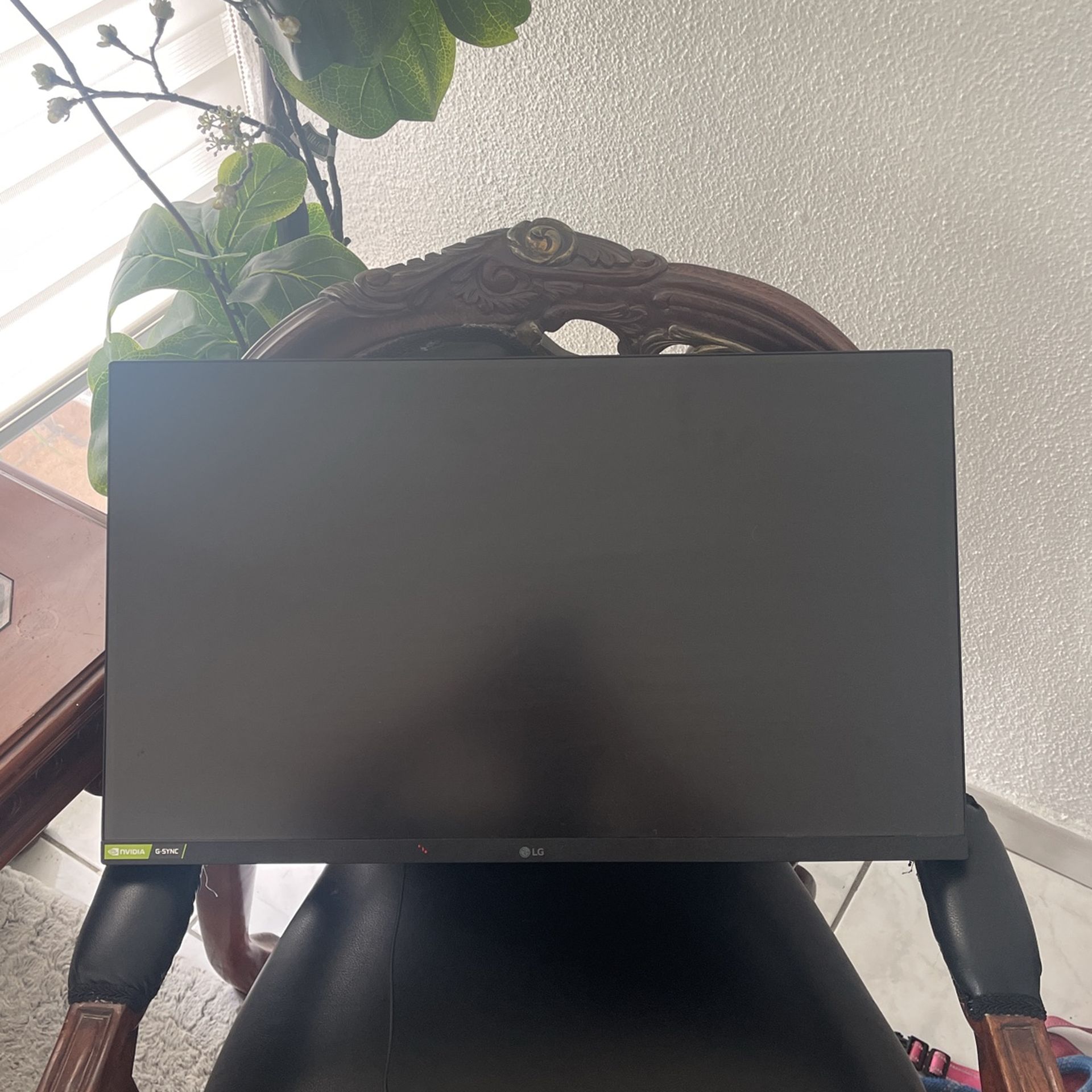 Lg Ultra gear Monitor 28” 165hz