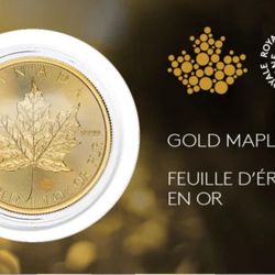 1 Ounce .999 Pure Gold Maple Coin