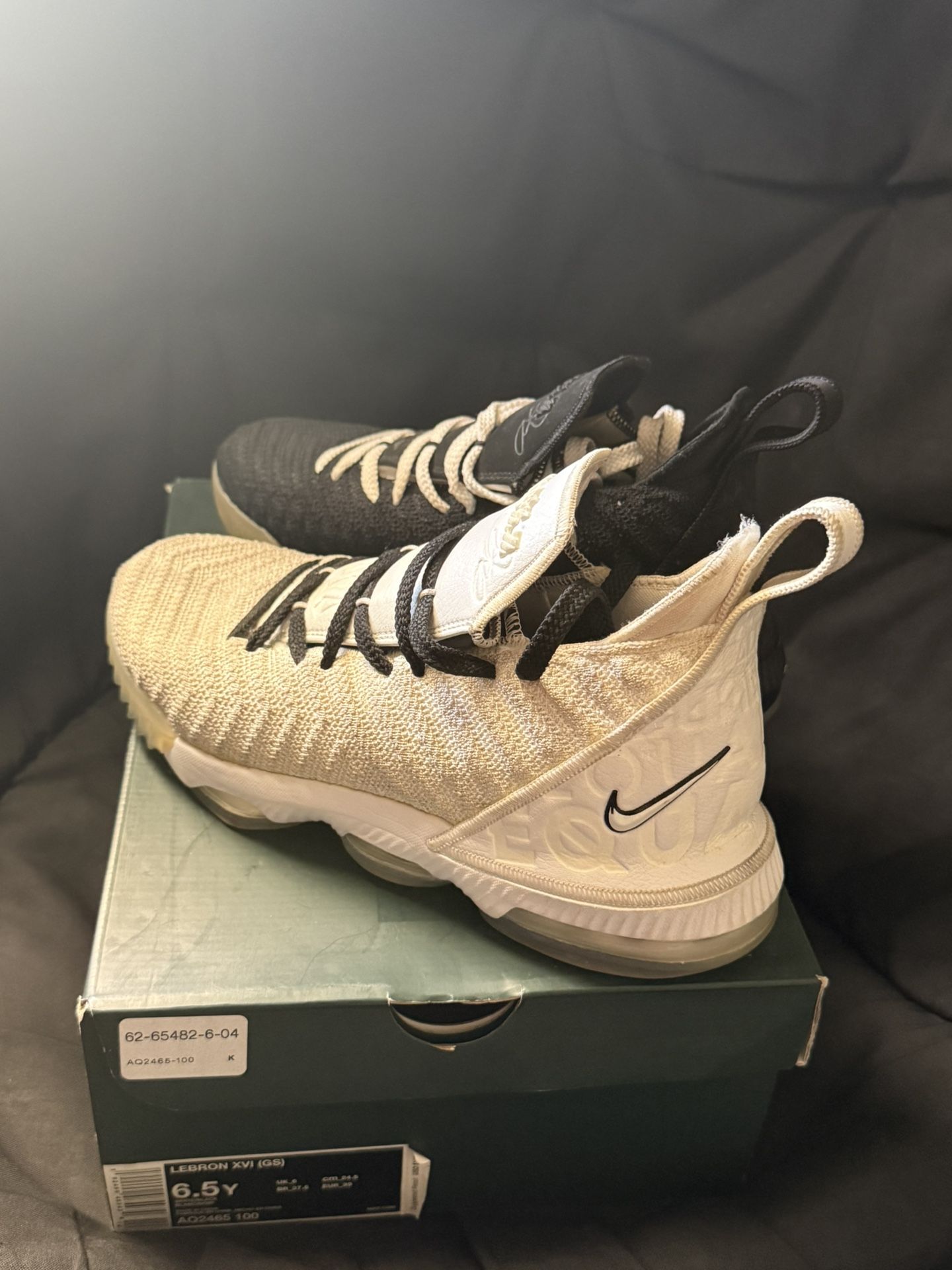 LEBRON XVI Equality Edition