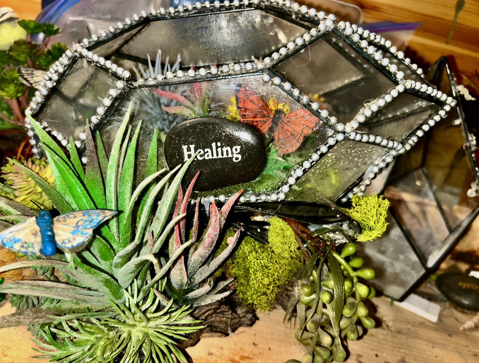 HANDCRAFTED TERRARIUMS MADE WITH TOP LIFELONG MATERIALS FROM ALL OVER THE WORLD!! 