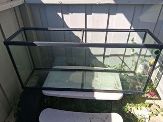 55 gallon aquarium