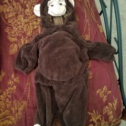 Monkey costume
