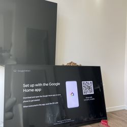 Sony 65 Inch Google TV
