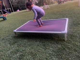 Heavy duty, elevated dog bed- Cama elevada para perro