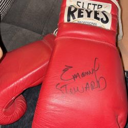 Boxing Gloves Signed 