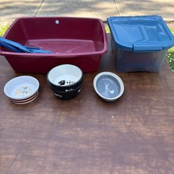 Cat Supplies 