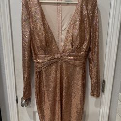 Rose Gold Sequin Dress