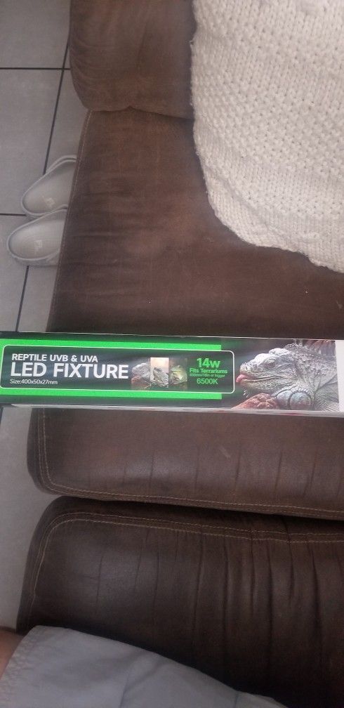 Reptile light
