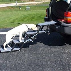 Pet Loader Light 16″ Platform