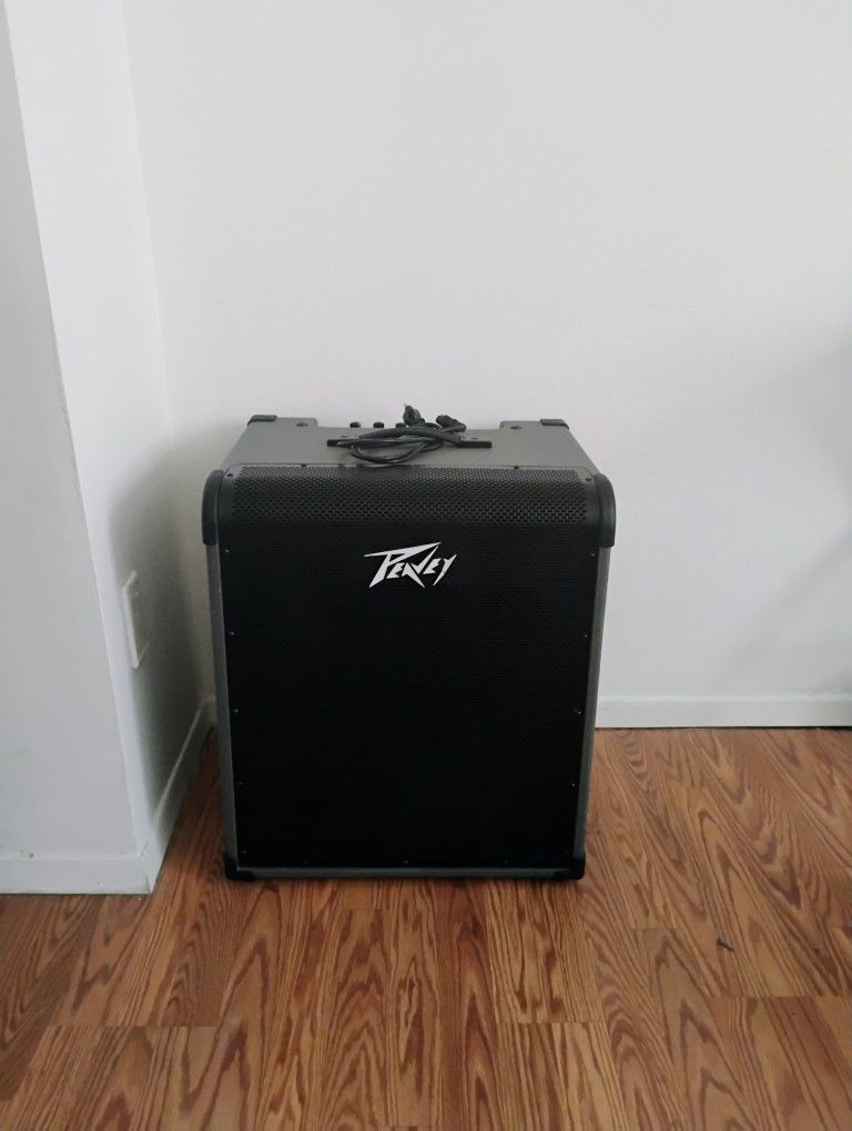 Peavey MAX 300 Watt Bass Amp