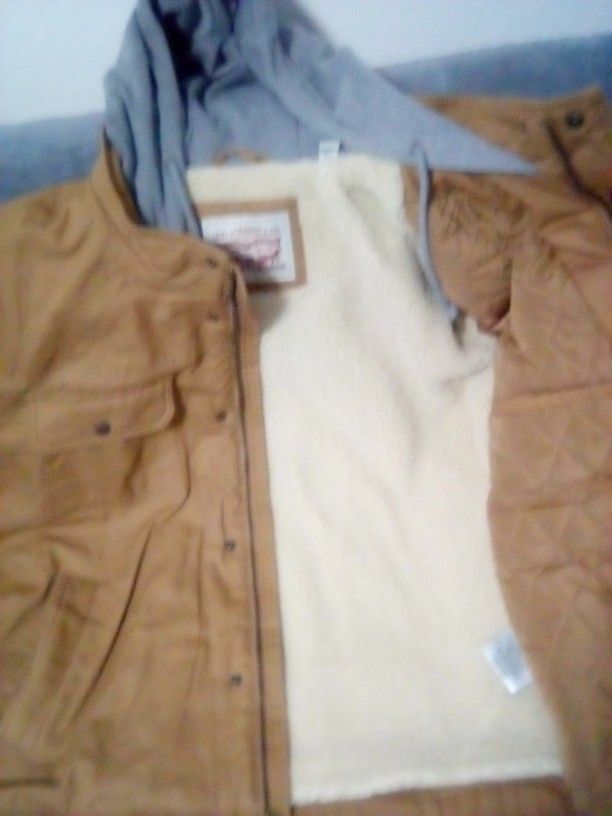 Levi Strauss Winter Jacket, Cotton Lining. Cost $180, Asking $75