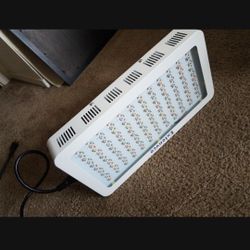 Led Grow Light