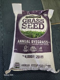 Pennington Annual Ryegrass Grass Seed, 20lb, Full Sun to Partial Shade, Rye Grass Seeds for Lawn, 1 Bag