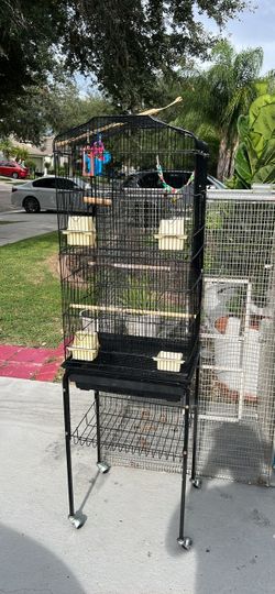 Birds cage