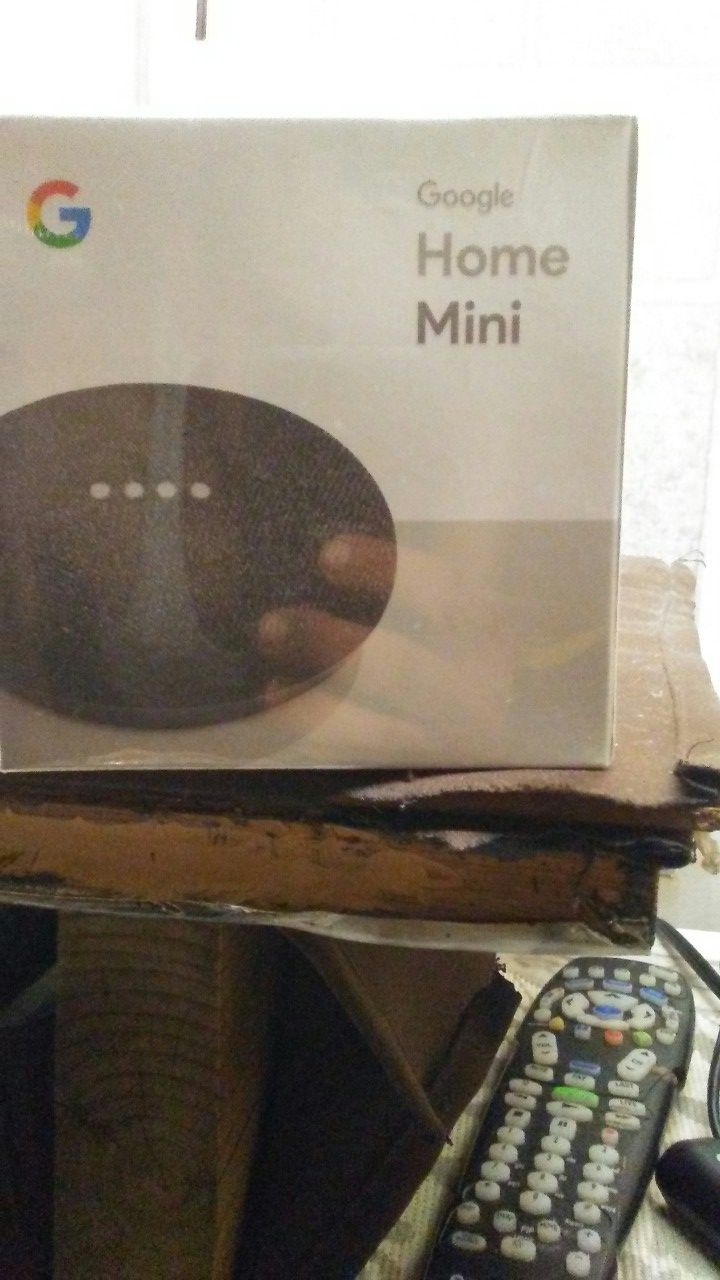 Google home mini