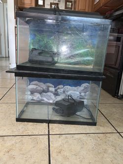 Fish tanks