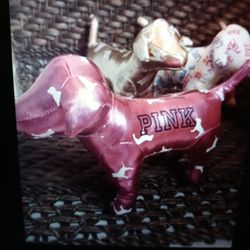 Victoria's Secret Pink Dog
