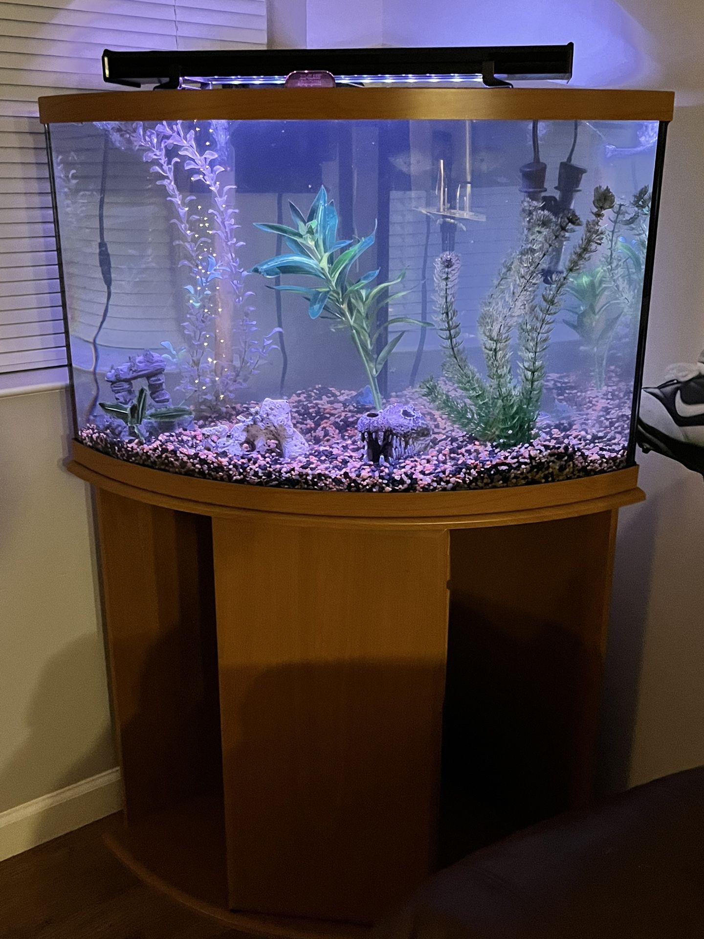 Fish Tank Packaged Bundle for Sale in Champaign, IL - OfferUp