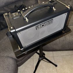 Boss Dual Cube LX Guitar Amplifier With Carrying Bag And Amp Stand