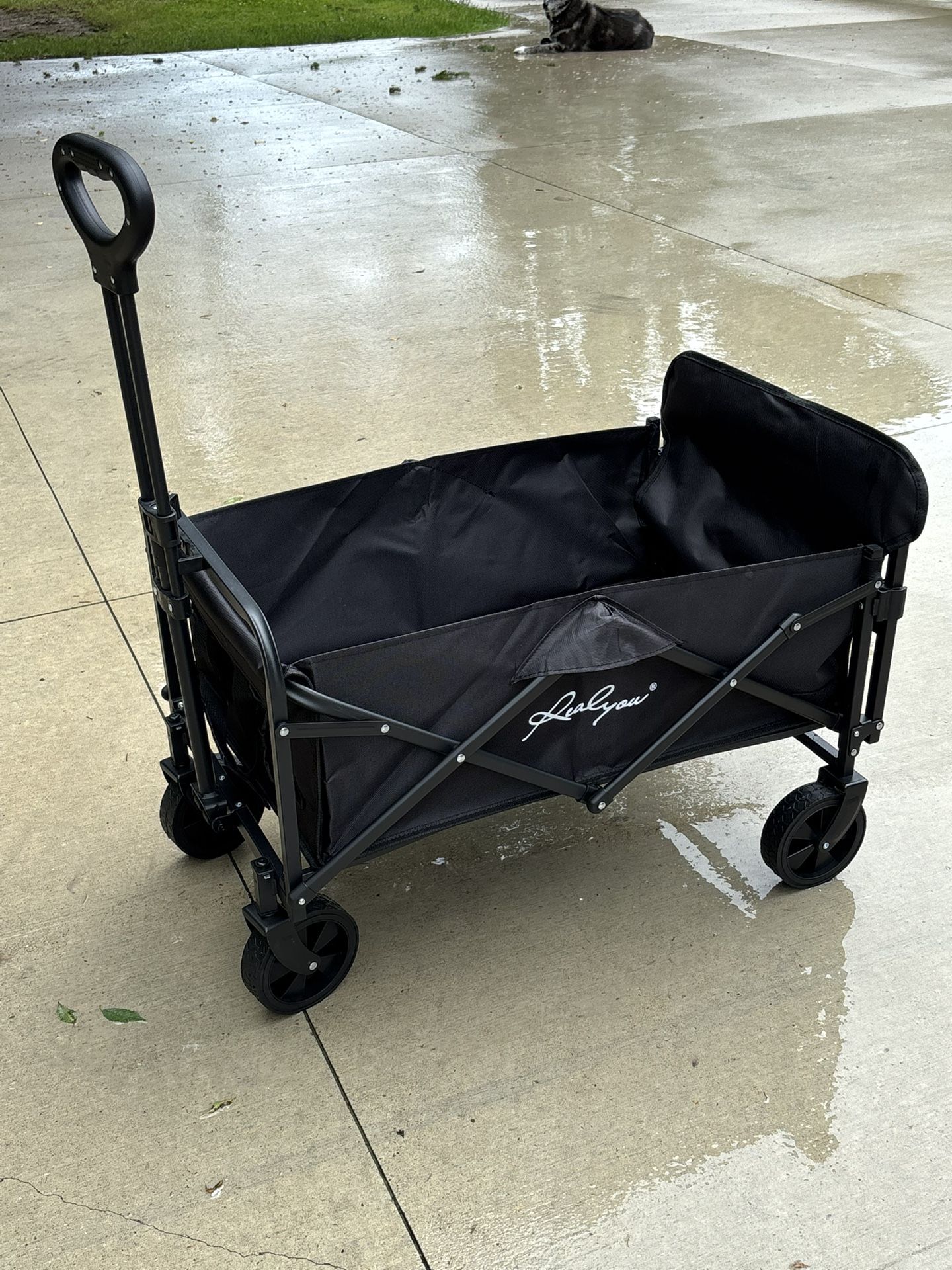 Wagon