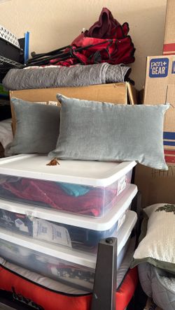 2 Little Couch Pillows