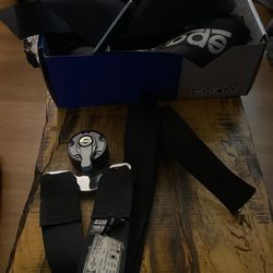 Sparco 5 Point Harness