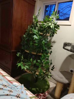 Cat Tree