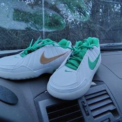 Brand New LeBron - Size 5.5 (Big Kid)