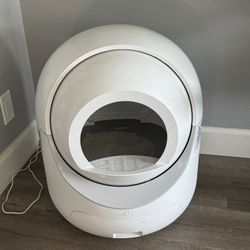 Litter Box