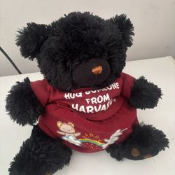 Stuffed Teddy Bear 🧸 