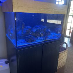 65 Gallon Established Salt Water Fish Tank With Cabinet