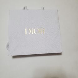 Small Dior Pebbled Gift Bag