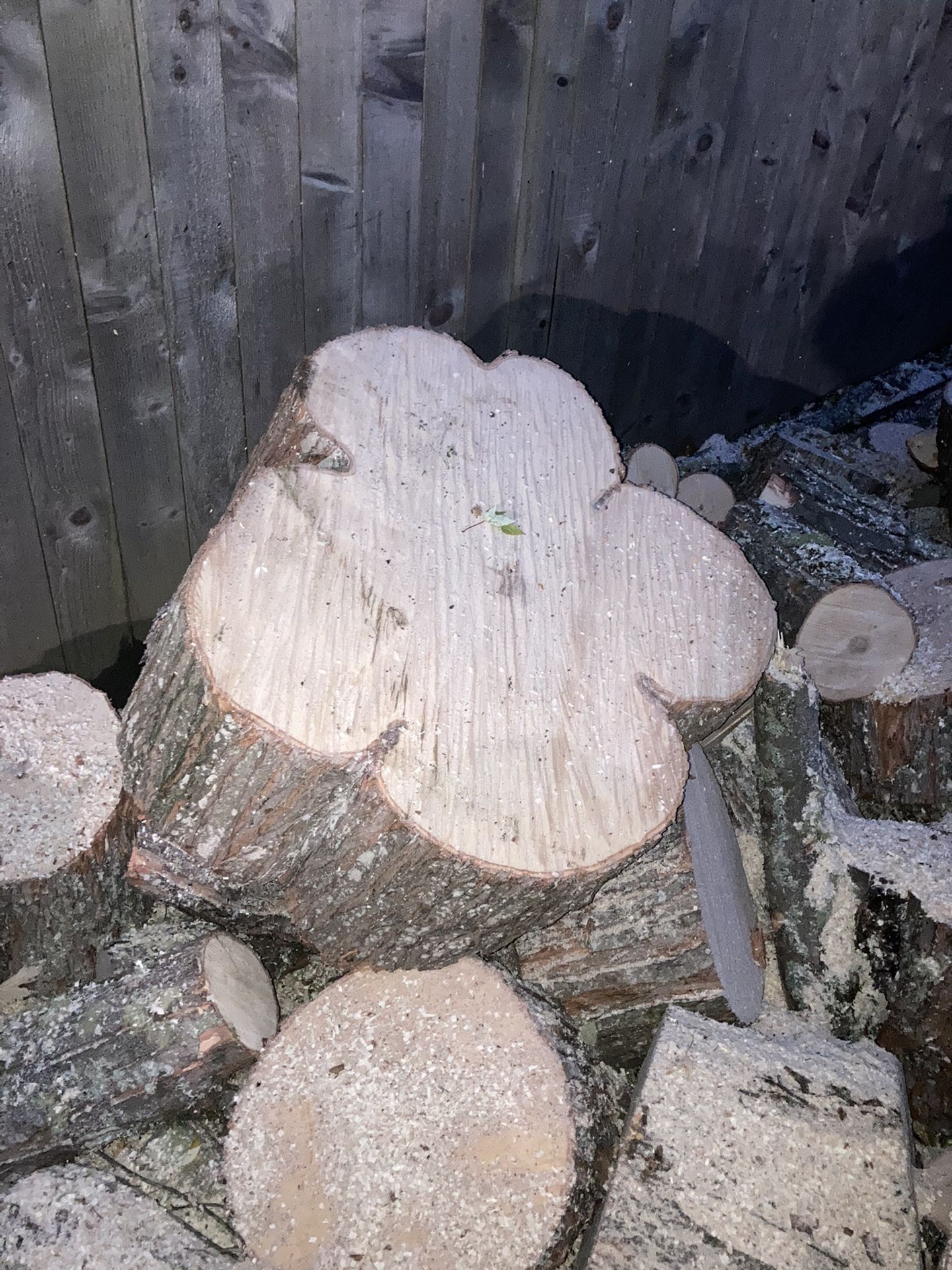 Maple Wood Slabs
