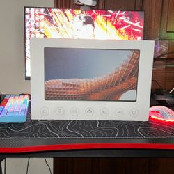 Portable monitor/monitor