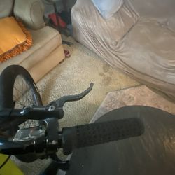 Mafia Mushy Pea Chenga 27.5