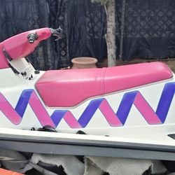 Pink Flamingo Seadoo