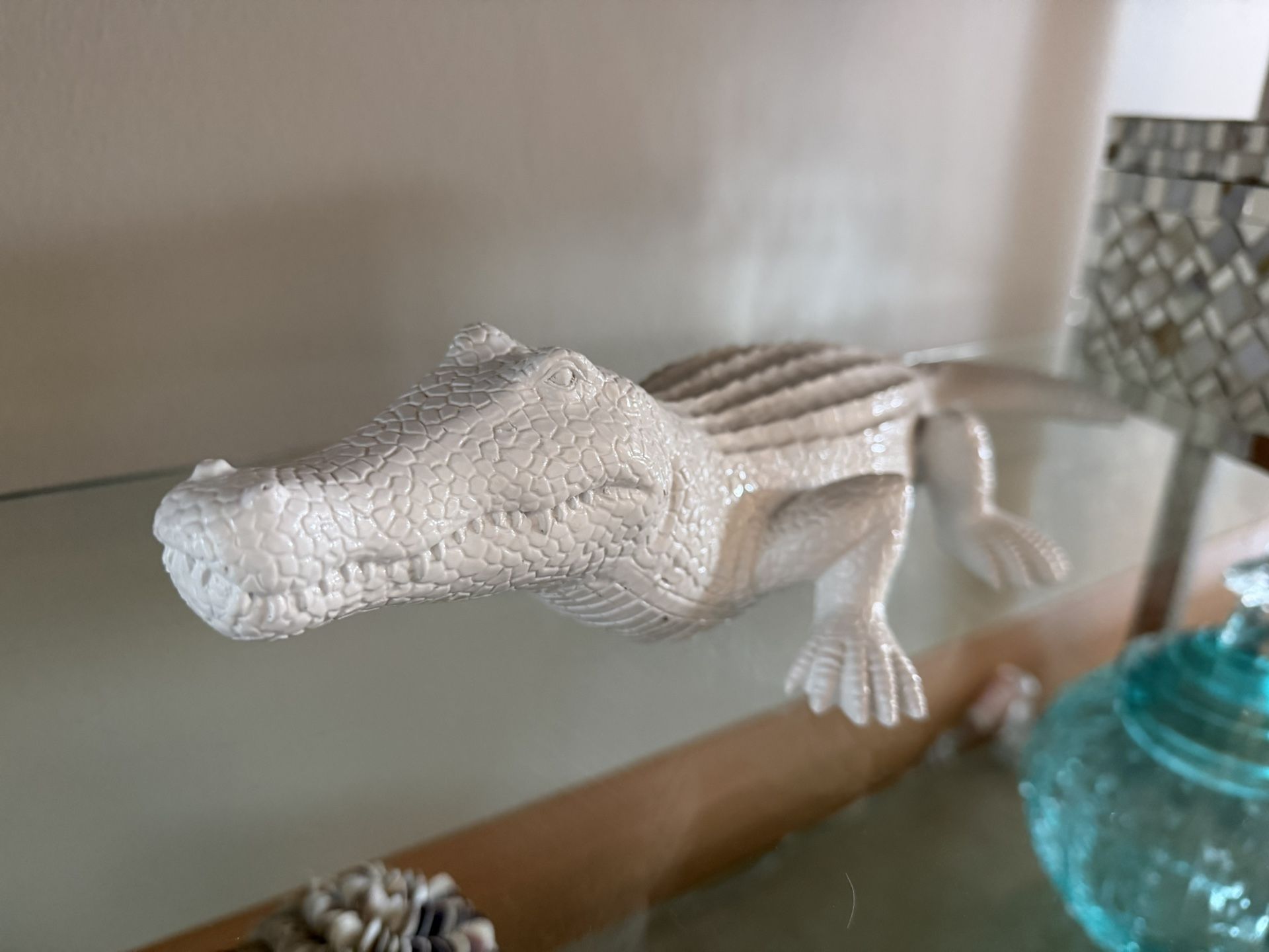 16” White crocodile