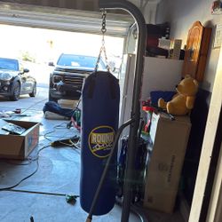 Punching Bag And Stand