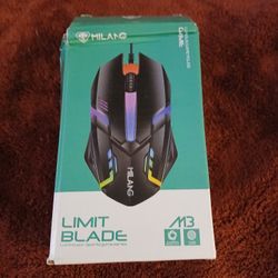 Computer Mouse