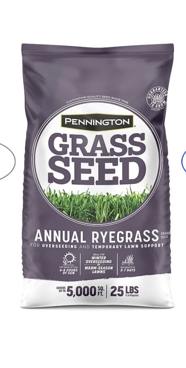 Pennington 100082633 Annual Ryegrass Seed, 25 Lb