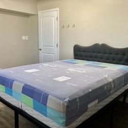 Queen Platform, Headboard, and Mattress 