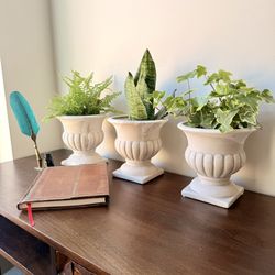 Set Of 11 Planter Urns (Plants Optional)