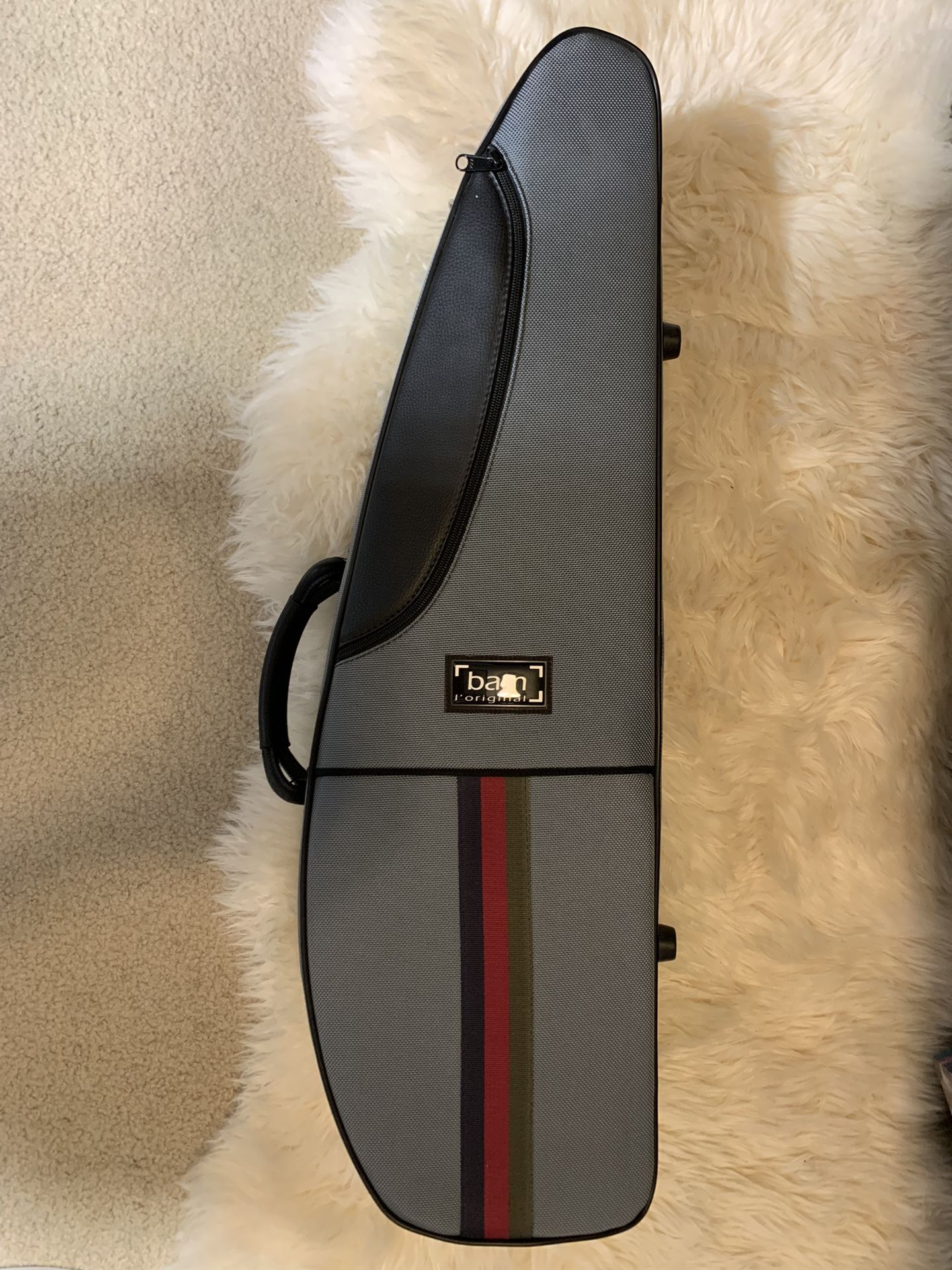 Violin Case