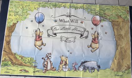 Gender Reveal Banner